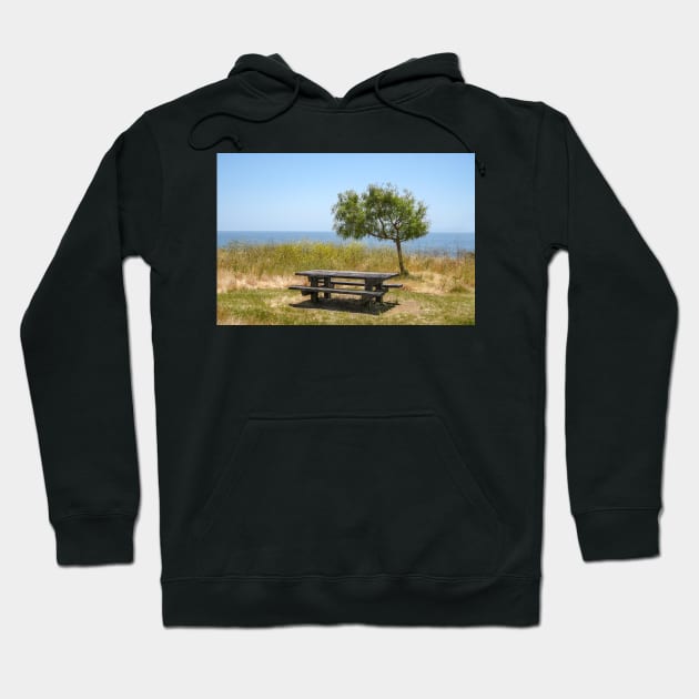 Picnic Table with a View Hoodie by mariola5